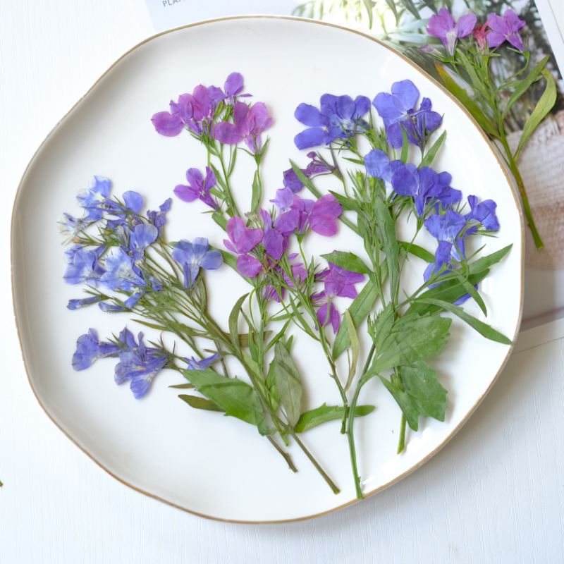 Resin Art Bookmark - 6 Pezzi/8-13cm, Fiori Pressati Essiccati di