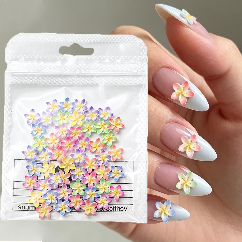 50 Pezzi Decorazioni per Unghi - Resin Art Beach recensione e prezzo