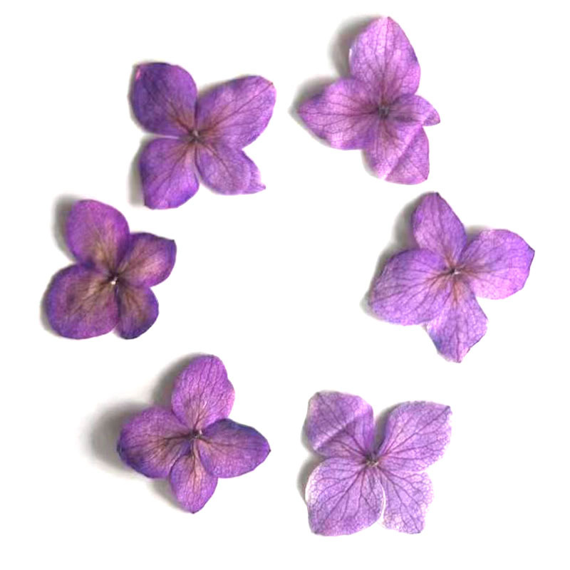 60 Pezzi di Fiori di Ortensia  - Resin Art Bookmark recensione e prezzo