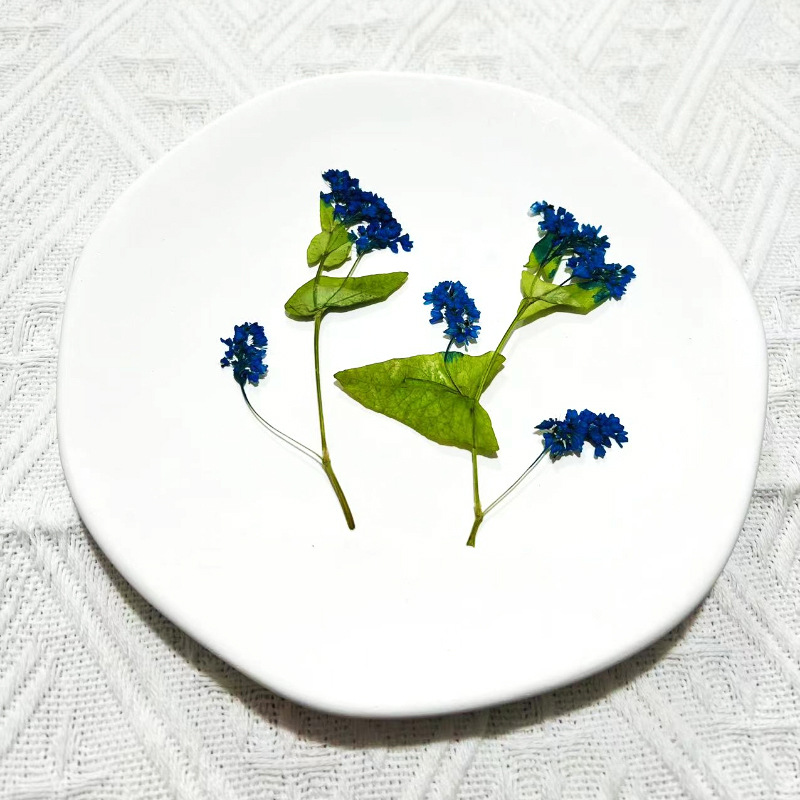 1Set Naturale Essiccato Fagopy - Resin Art Bookmark recensione e prezzo