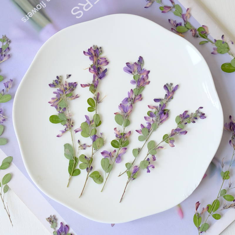 6 Pezzi, Fiori Essiccati e Pre - Resin Art Bookmark recensione e prezzo