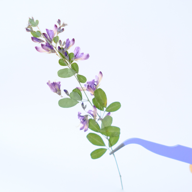 6 Pezzi, Fiori Essiccati e Pre - Resin Art Bookmark recensione e prezzo
