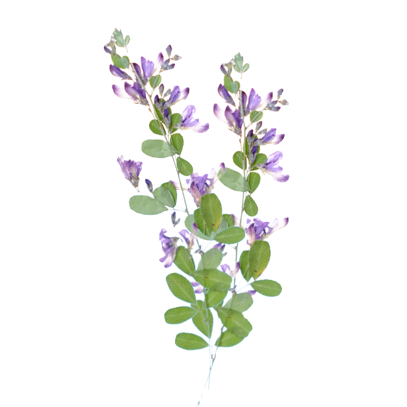 6 Pezzi, Fiori Essiccati e Pre - Resin Art Bookmark recensione e prezzo