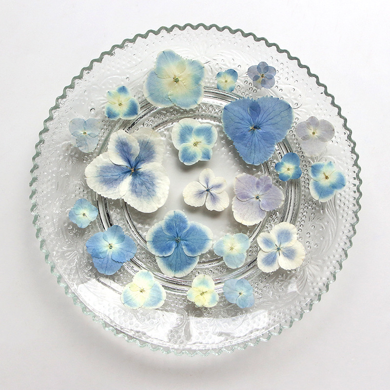 Piante di ortensia blu bianca  - Resin Art Bookmark recensione e prezzo
