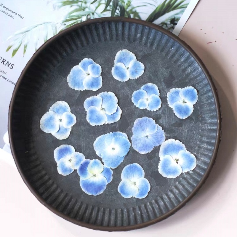 Piante di ortensia blu bianca  - Resin Art Bookmark recensione e prezzo