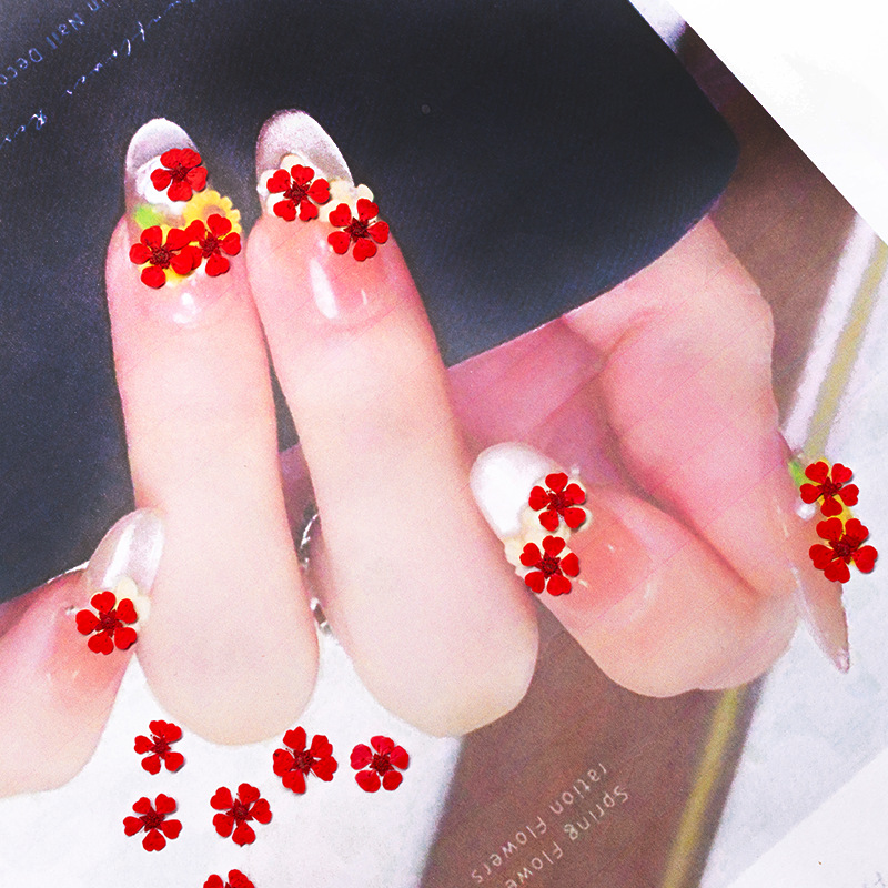 96 Pezzi Mini Fiori Pressati N - Resin Art Baby recensione e prezzo