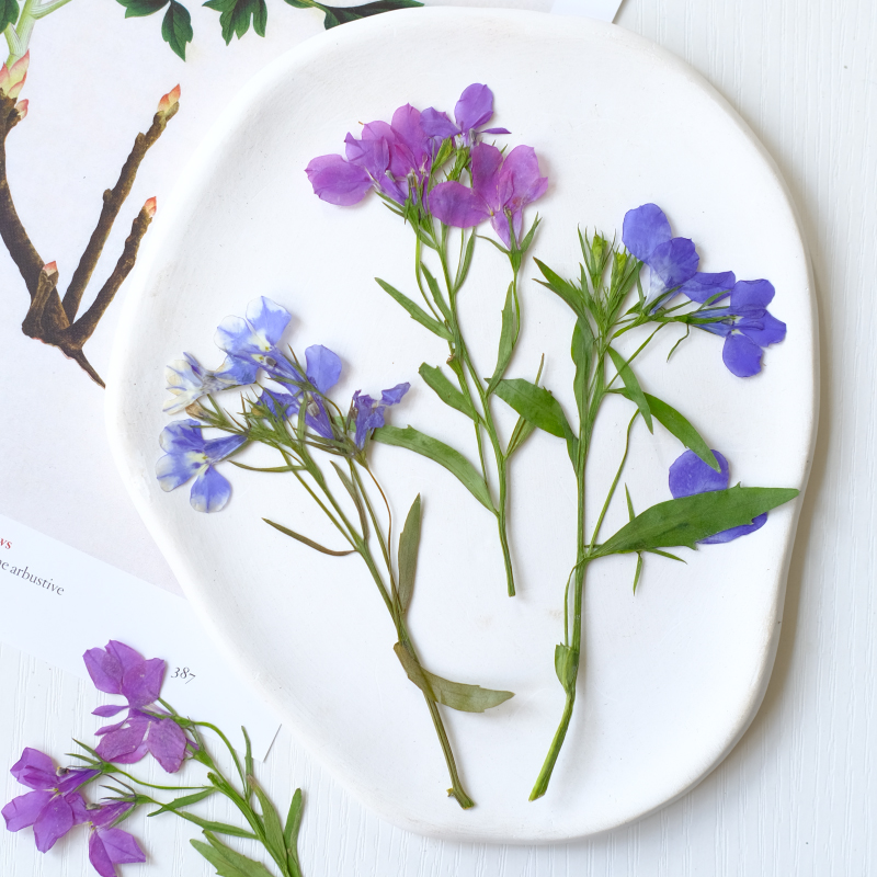 6 Pezzi/8-13cm, Fiori Pressati - Resin Art Bookmark recensione e prezzo