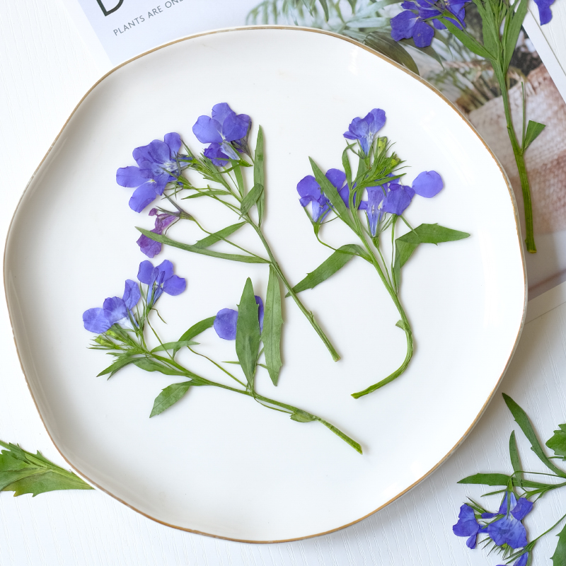 6 Pezzi/8-13cm, Fiori Pressati - Resin Art Bookmark recensione e prezzo